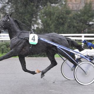 1c ROS_5701 totano jet-min