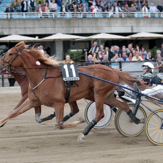 8/5/2016 Gran Premio Carlo Cacciari. UNICKA (Erik Bondo). UMA FRANCIS (Enrico Bellei).
Foto Perrucci.