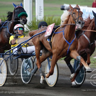Roma Ippodromo  Capannelle 24 settembre 2016
89Â° Berby del Trotto Italiano - Qualificazioni
Batteria A
Pietro Gubellini vince con Unicka
Scuderia Wave
Trainer E. Bondo
domenicosaviphotoÂ© all rights reserved