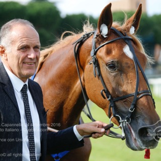 Roma Ippodromo  Capannelle 24 settembre 2016
89Â° Berby del Trotto Italiano - Qualificazioni
Batteria A
Pietro Gubellini vince con Unicka
Scuderia Wave
Trainer E. Bondo
domenicosaviphotoÂ© all rights reserved