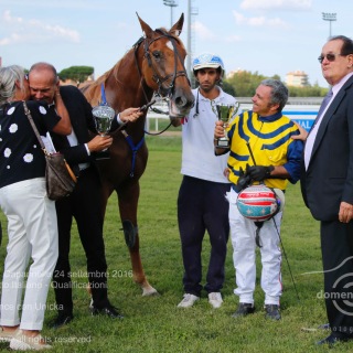 Roma Ippodromo  Capannelle 24 settembre 2016
89Â° Berby del Trotto Italiano - Qualificazioni
Batteria A
Pietro Gubellini vince con Unicka
Scuderia Wave
Trainer E. Bondo
domenicosaviphotoÂ© all rights reserved