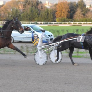 arrivo-louvre-firenze-071220141-1024x479