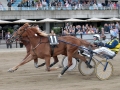 8/5/2016 Gran Premio Carlo Cacciari. UNICKA (Erik Bondo). UMA FRANCIS (Enrico Bellei).
Foto Perrucci.