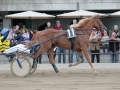 8/5/2016 Gran Premio Carlo Cacciari. UNICKA. Erik Bondo allenatore. Gianluca e Giovanna Lami, Scuderia Wave. Federico Esposito guidatore.
Foto Perrucci.