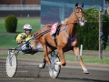 Roma Ippodromo  Capannelle 24 settembre 2016
89Â° Berby del Trotto Italiano - Qualificazioni
Batteria A
Pietro Gubellini vince con Unicka
Scuderia Wave
Trainer E. Bondo
domenicosaviphotoÂ© all rights reserved