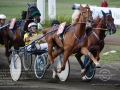 Roma Ippodromo  Capannelle 24 settembre 2016
89Â° Berby del Trotto Italiano - Qualificazioni
Batteria A
Pietro Gubellini vince con Unicka
Scuderia Wave
Trainer E. Bondo
domenicosaviphotoÂ© all rights reserved