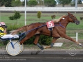 Roma Ippodromo  Capannelle 24 settembre 2016
89Â° Berby del Trotto Italiano - Qualificazioni
Batteria A
Pietro Gubellini vince con Unicka
Scuderia Wave
Trainer E. Bondo
domenicosaviphotoÂ© all rights reserved