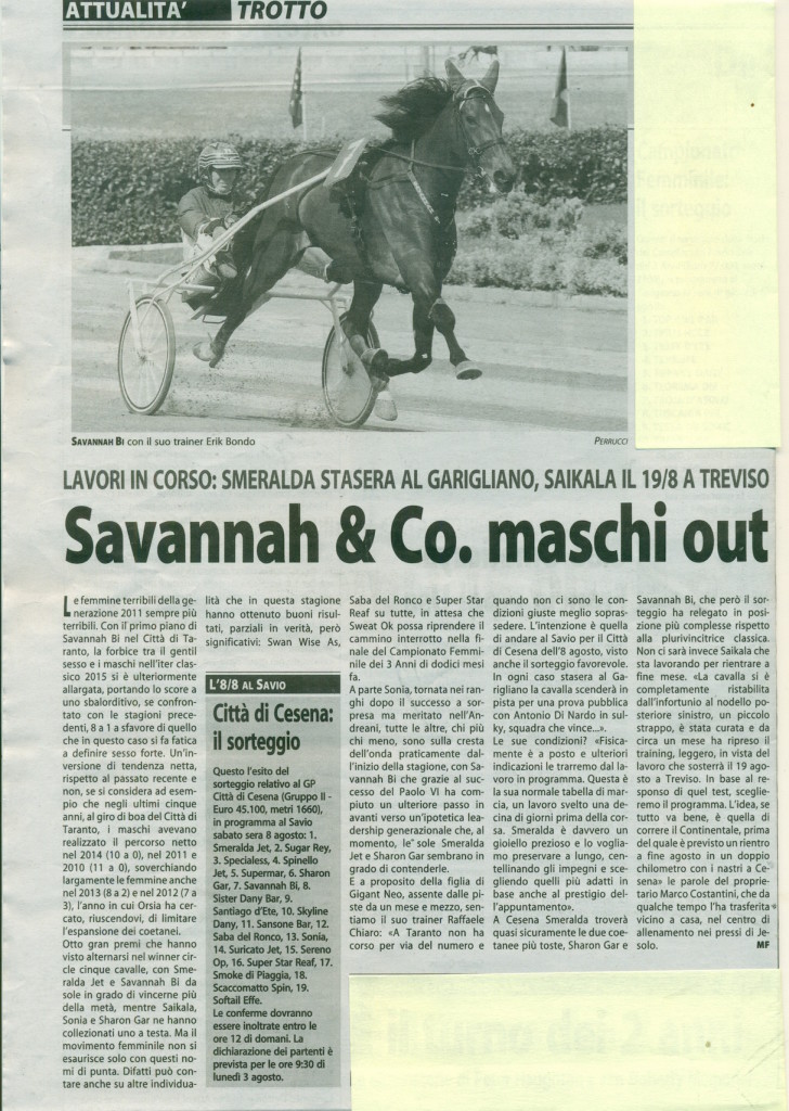 savannah