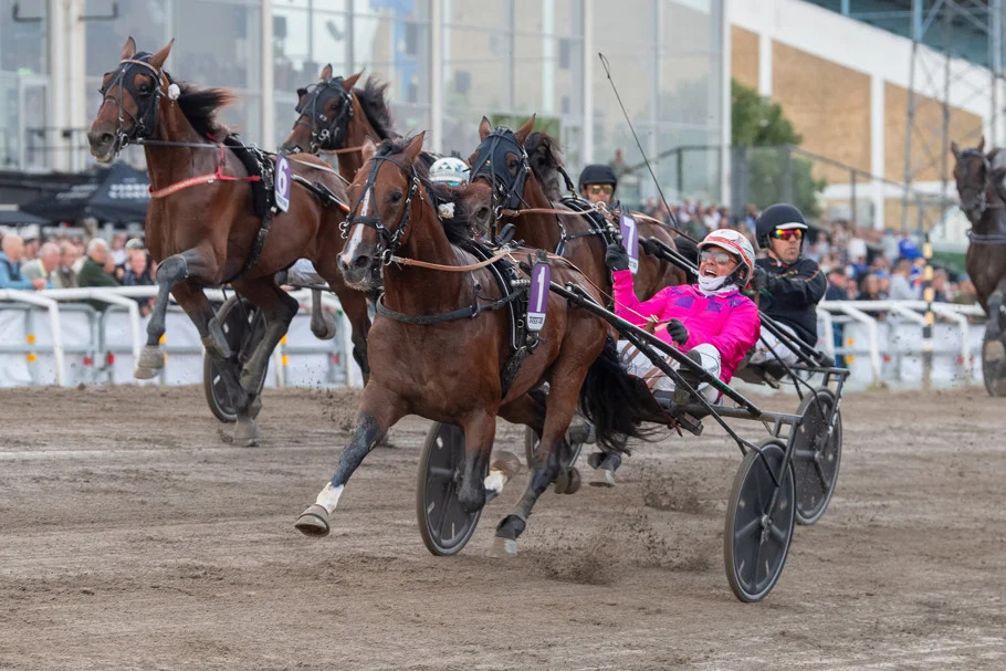 Dai prati di Staffoli al trionfo nelle Breeders in Svezia: Intesa Ek e Ilias d’Arc portano in alto la Scuola Puledri Wave