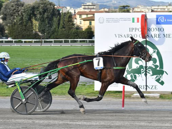 Galileo Ferm