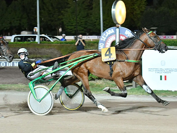 Goelicher ST