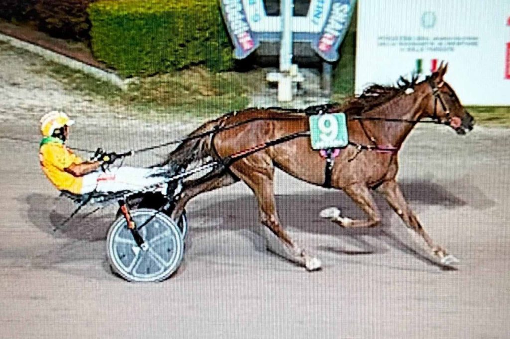 Italiana è uno spettacolo nel Premio Conad: percorso arrembante e vittoria di forza a 1.13.4