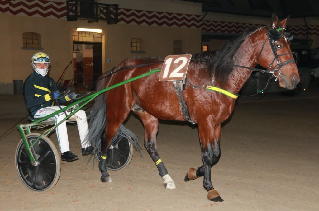 Podio nel GP Basilio Mattii per la Scuola Puledri by Wave: ottimo terzo posto per Firmamento ST