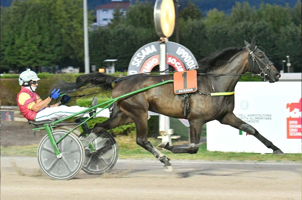 Podio di prestigio nel Campionato Femminile dei tre anni per la Scuola Puledri by Wave: splendido terzo posto di Irma Ferm al Garigliano
