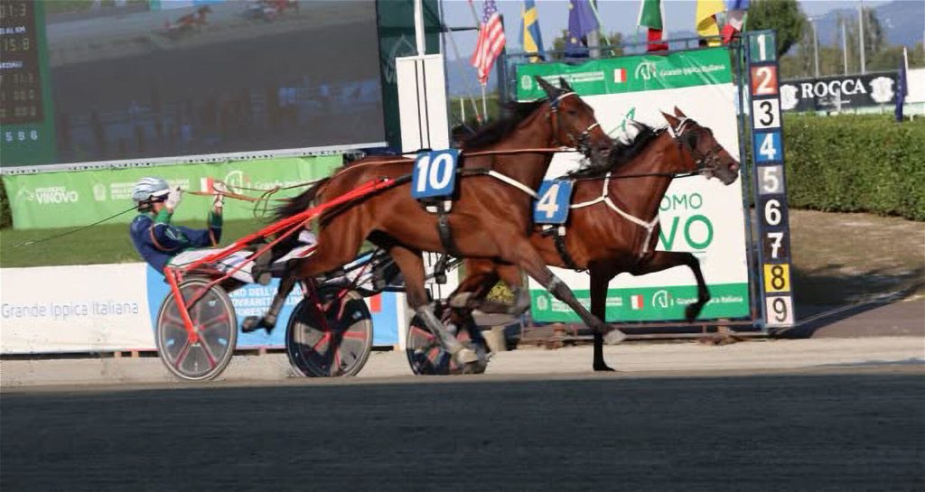 Criterium Nord a Torino: i puledri di Staffoli subito protagonisti con i piazzamenti di Lotteria, Lifetime Ferm e League Wise As