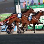 Criterium Nord a Torino: i puledri di Staffoli subito protagonisti con i piazzamenti di Lotteria, Lifetime Ferm e League Wise As