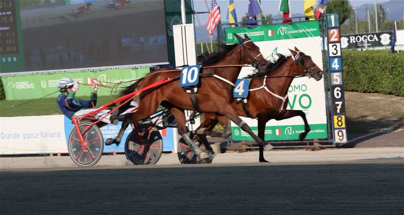 Criterium Nord a Torino: i puledri di Staffoli subito protagonisti con i piazzamenti di Lotteria, Lifetime Ferm e League Wise As