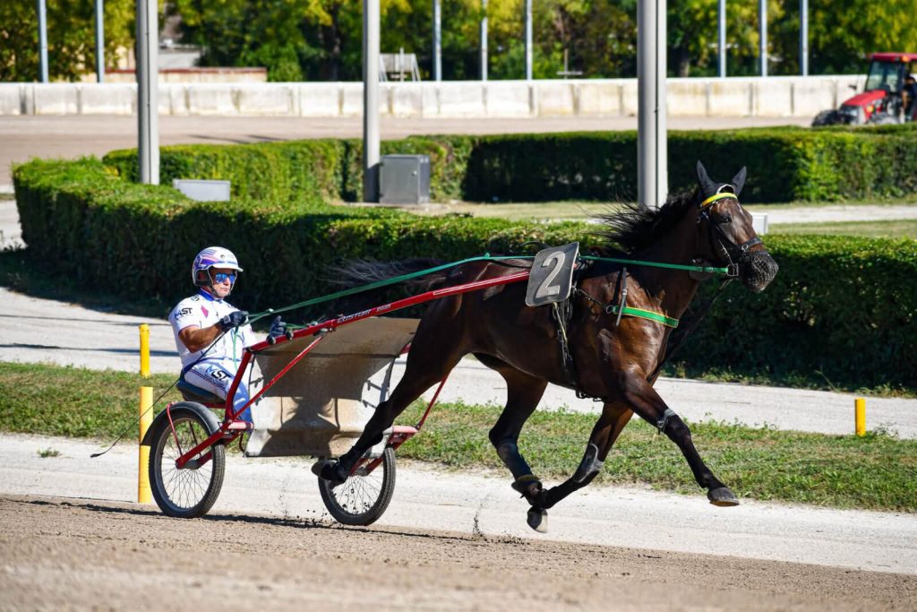 Profumo di Staffoli al Gran Premio Continentale: Gloria Italia e Giorgia D’Esi brillano nel Filly, sfortuna per Galileo Ferm