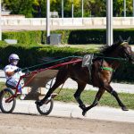 Profumo di Staffoli al Gran Premio Continentale: Gloria Italia e Giorgia D’Esi brillano nel Filly, sfortuna per Galileo Ferm