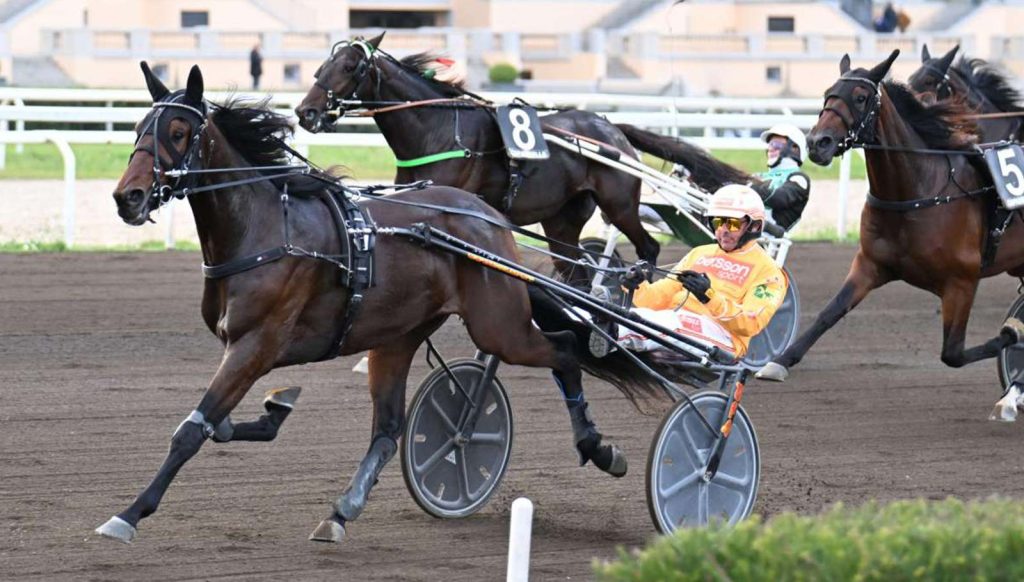 Anact Stakes Plus: anche Lydia del Ronco vola in finale a Treviso e porta il marchio di Staffoli