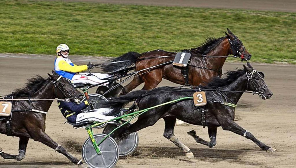 Debutto col botto per Lucenzo Ral: vittoria a sorpresa a Modena e pass per la finale dell’ANACT Stakes+!