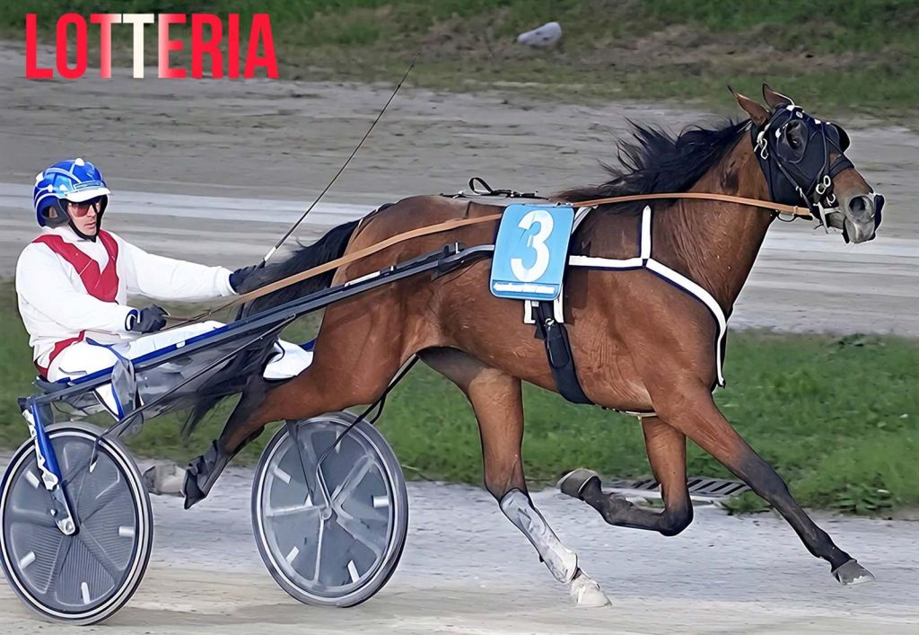 Lotteria è in Finale a suon di record della generazione: 1.13.1! Vince e convince volando all’atto conclusivo del GP ANACT Stakes Plus a Treviso