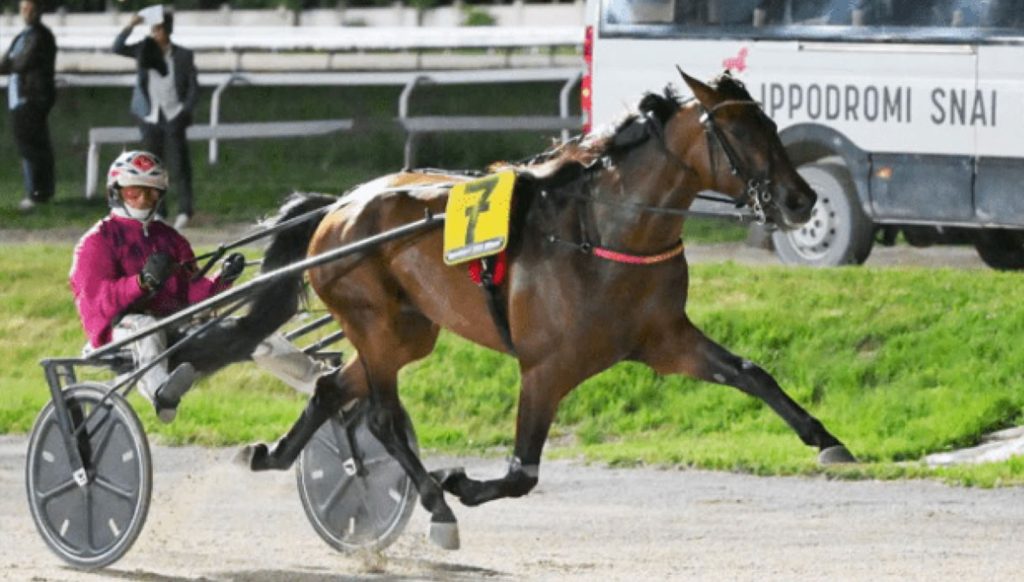 Spettacolo all’Orsi Mangelli di Milano: i gioielli della Scuola Puledri di Staffoli pronti a scendere in pista per la grande rivincita del Derby!
